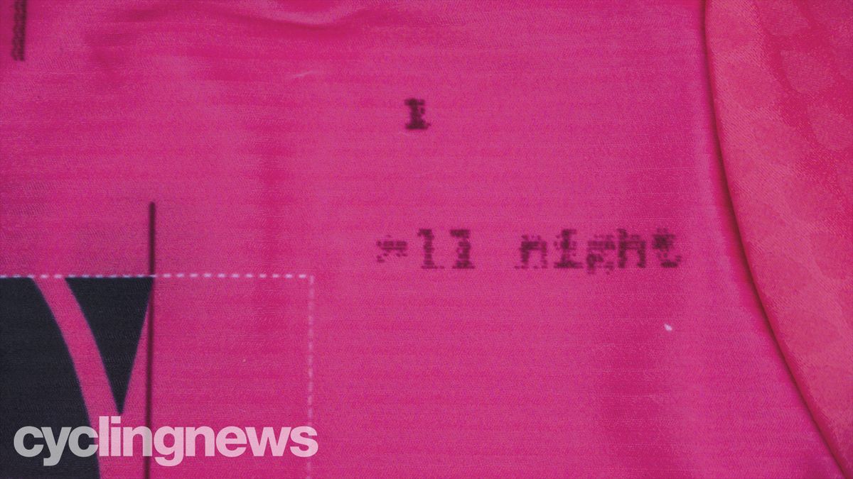 EF Education First-Nippo jersey