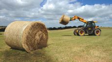 Hay-making-04.jpg