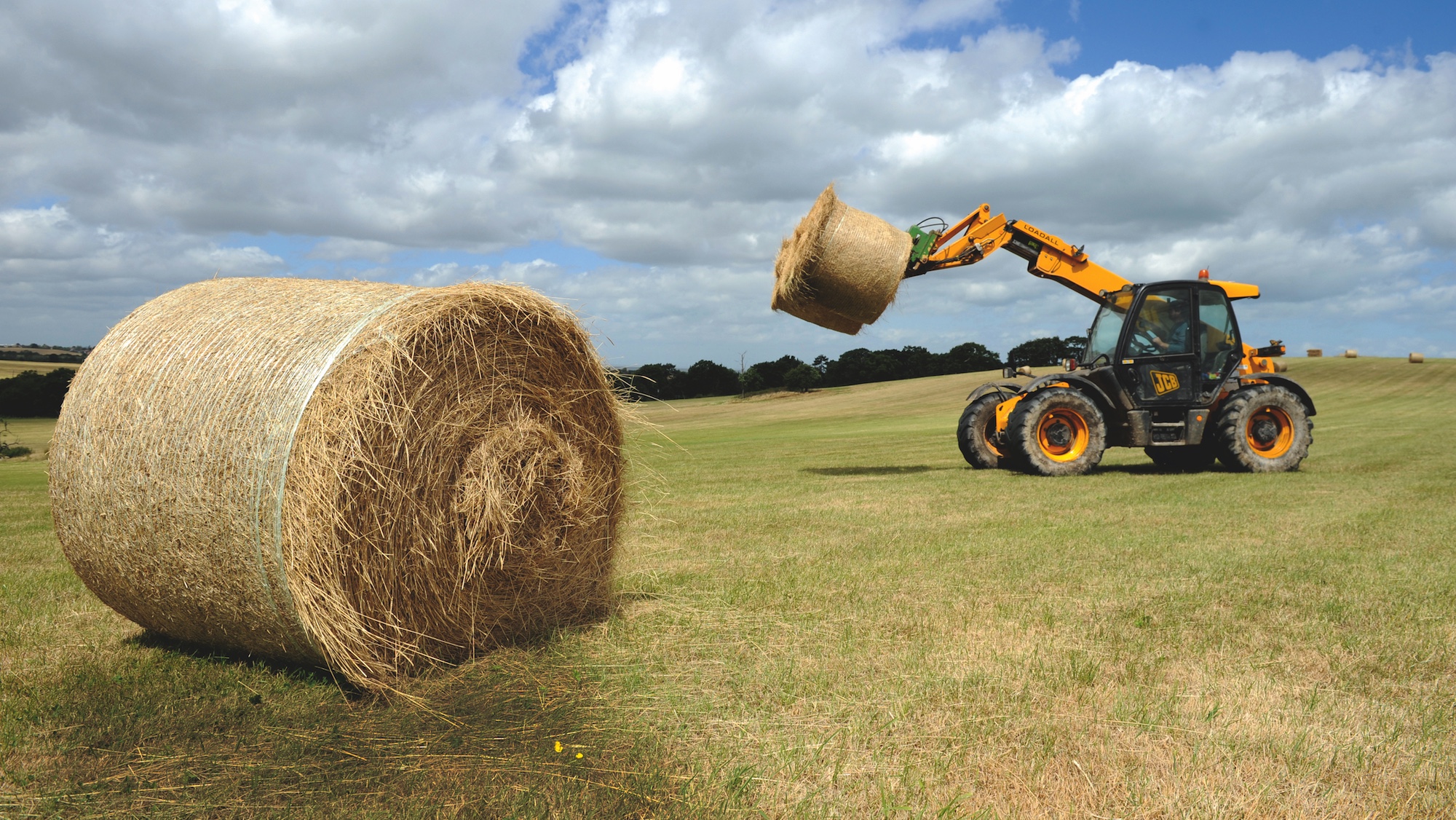 Hay-making-04.jpg