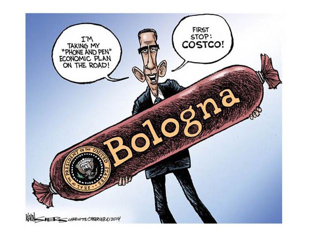 Obama cartoon executive order