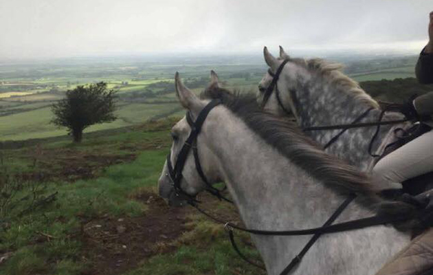 County Limerick Hunt