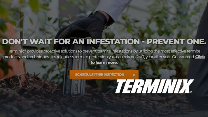 Pest Control Terminix Vs Orkin | Pest Control