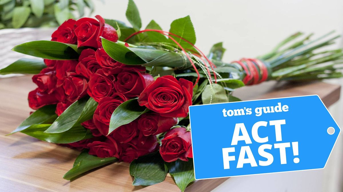 Venda de flores de última hora no Dia dos Namorados – ganhe 24 rosas em 2 horas
