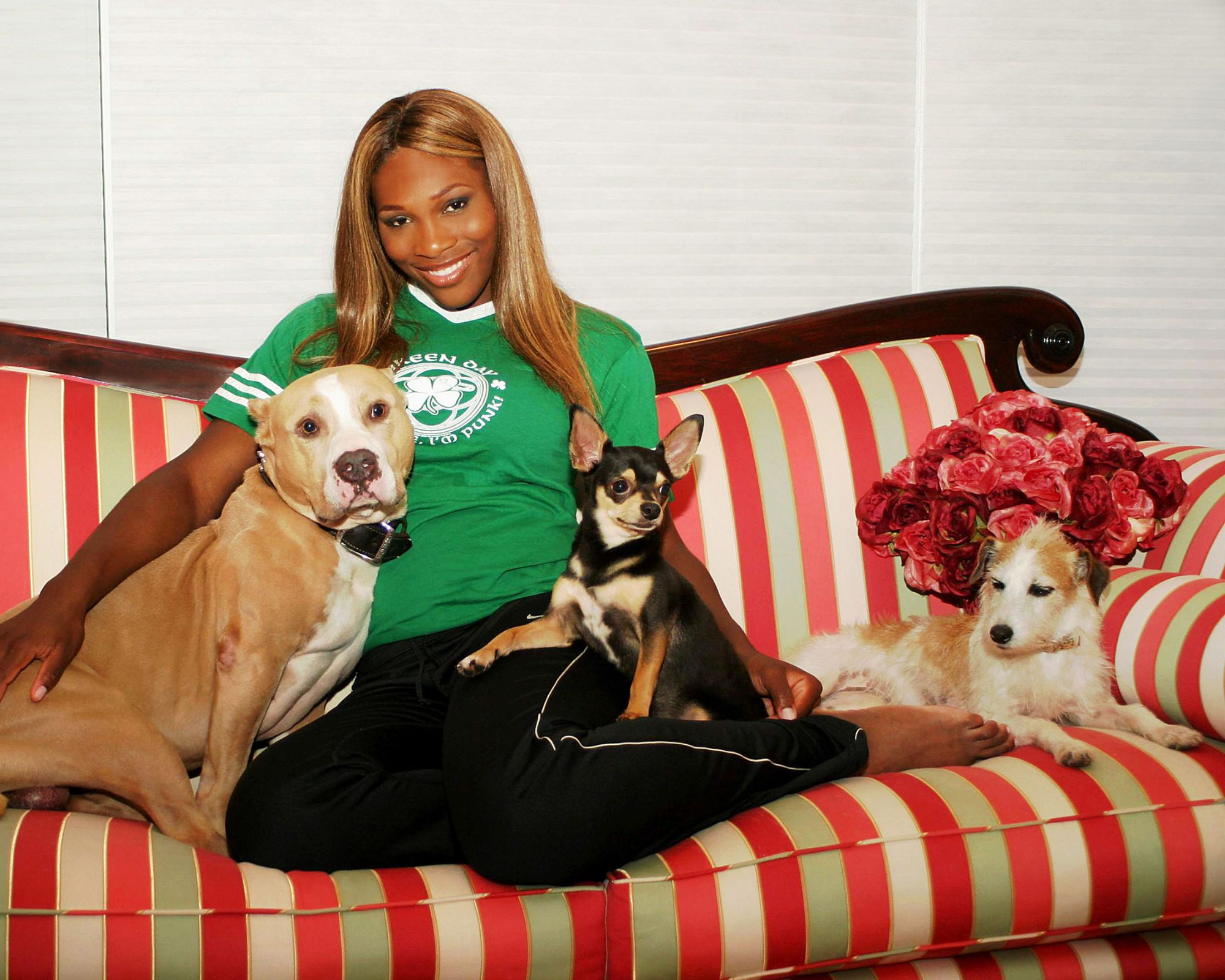 serena williams on a striped sofa with her dogs