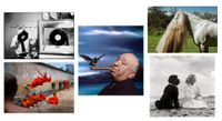 Composite image of five photographs featuring in the Magnum Square Sale May 2024 with the theme Fables, in partnership with Granta