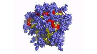 a molecular simulation image of the outer coat of the HIV virus
