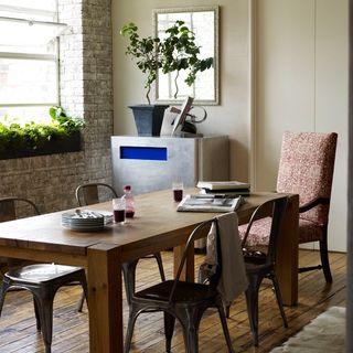 cool kitchen diner with indoor plants
