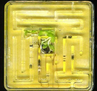 Here, an experiment to route plant roots through mazes, which is a step toward being able to incorporate plant wires into bio-hybrid self-growing circuits.