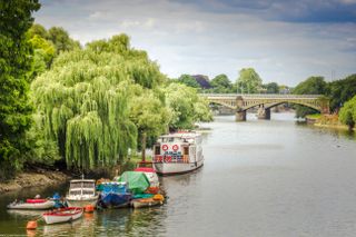 View of boats on river in front of bridge in Richmond-upon-Thames, London