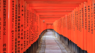 The red shrine gates at Fushimi Inari-Taisha