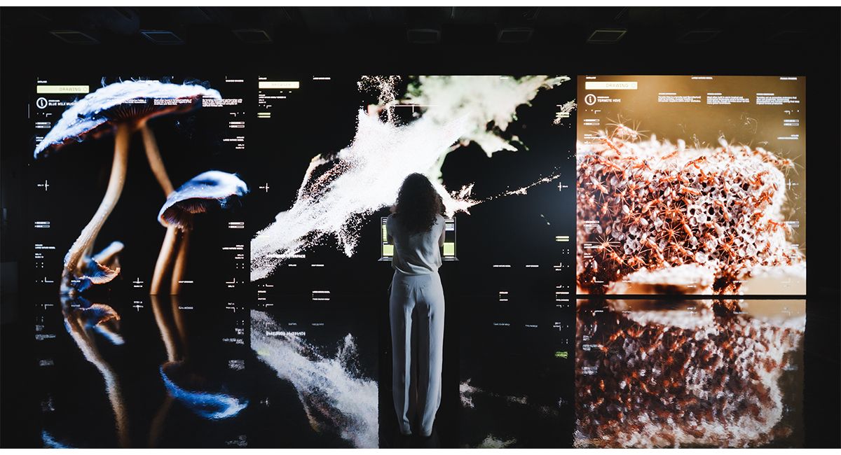 Immersive AI art at DATALAND AI art museum