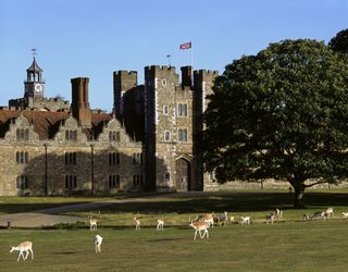 Deer wander through Knole Park outside the West Front entrance of Knole, Kent ©NTPL Rupert Truman.