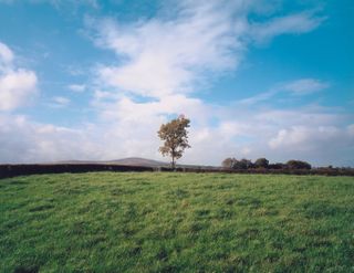 Union Jack Flag in Tree, Country Tyrone, 1985, by Paul Graham