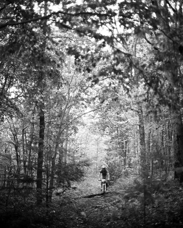 Riders race through the woods on the last stage of the Trans-Sylvania Epic.