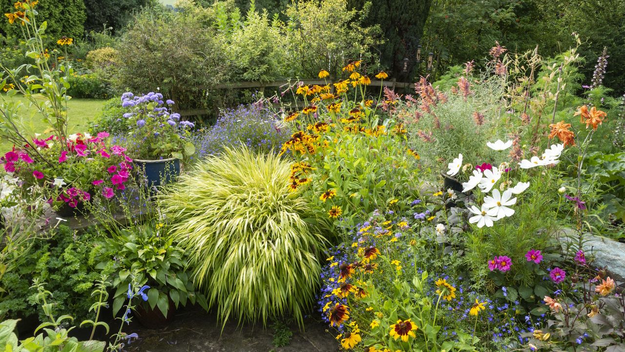 A collection of summer pots on a patio