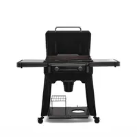 Traeger Flatrock 2 Zone