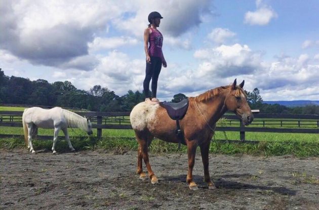horseyoga2-e1508497470898.jpg