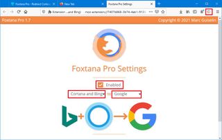 Foxtana Pro settings replace Bing in Windows Search