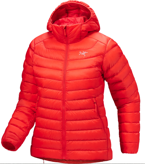 Cerium Down Hoody - Women's