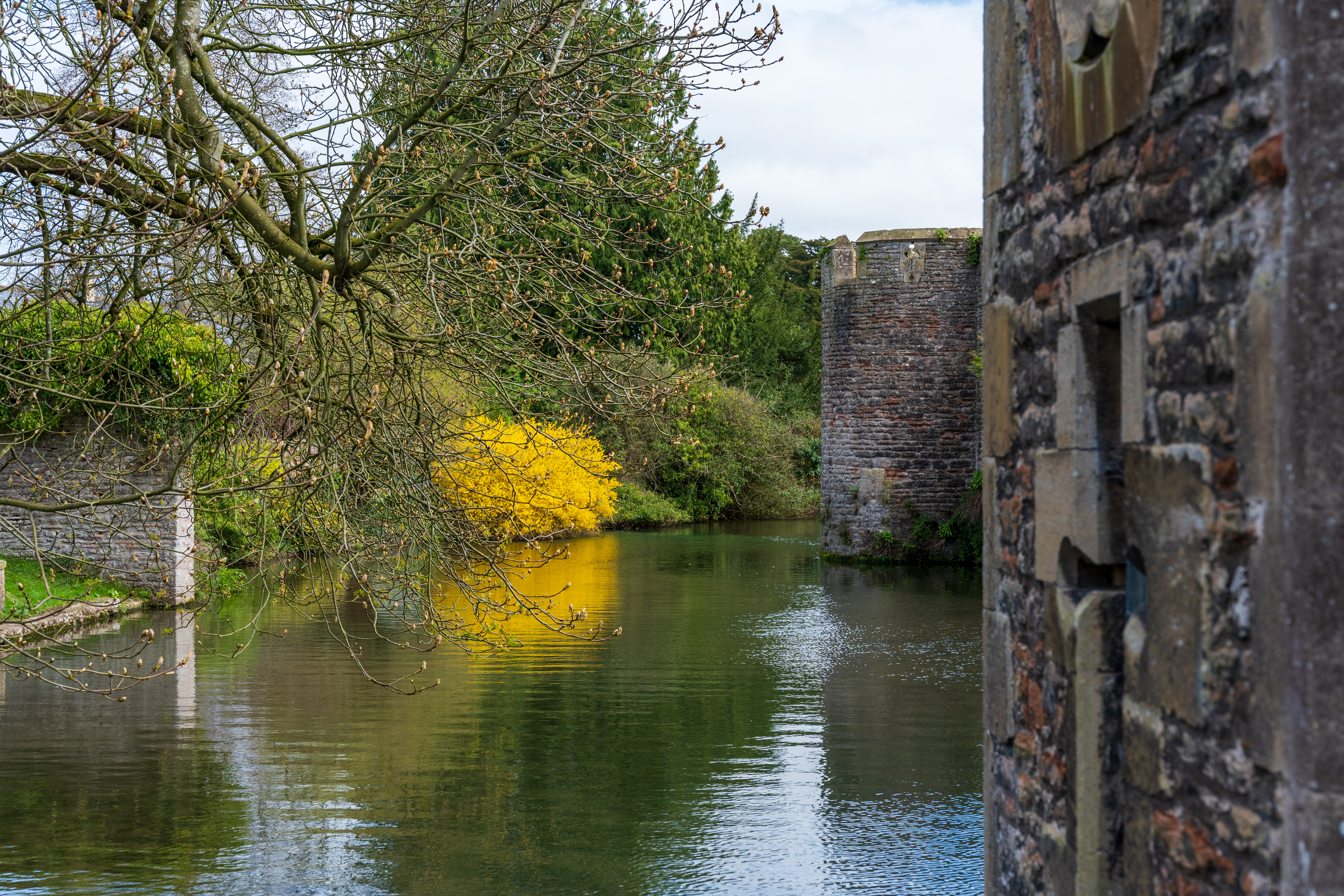 Viltrox AF 55mm f/1.8 Evo sample image