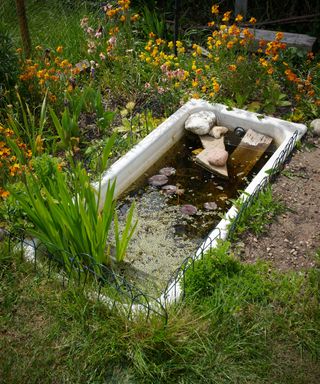 old sink in ground used as pond