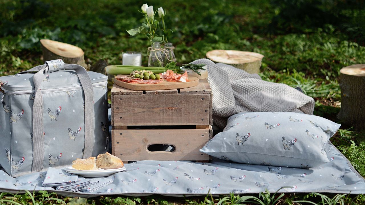 A picnic set-up with patterned cushions and blanket and a crate for a table