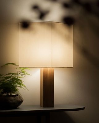 A lamp made of wooden base and white fabric shade, lit up in a dark room and with green foliage on the left