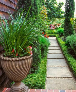 A narrow side yard with a paved path and a large urn planter