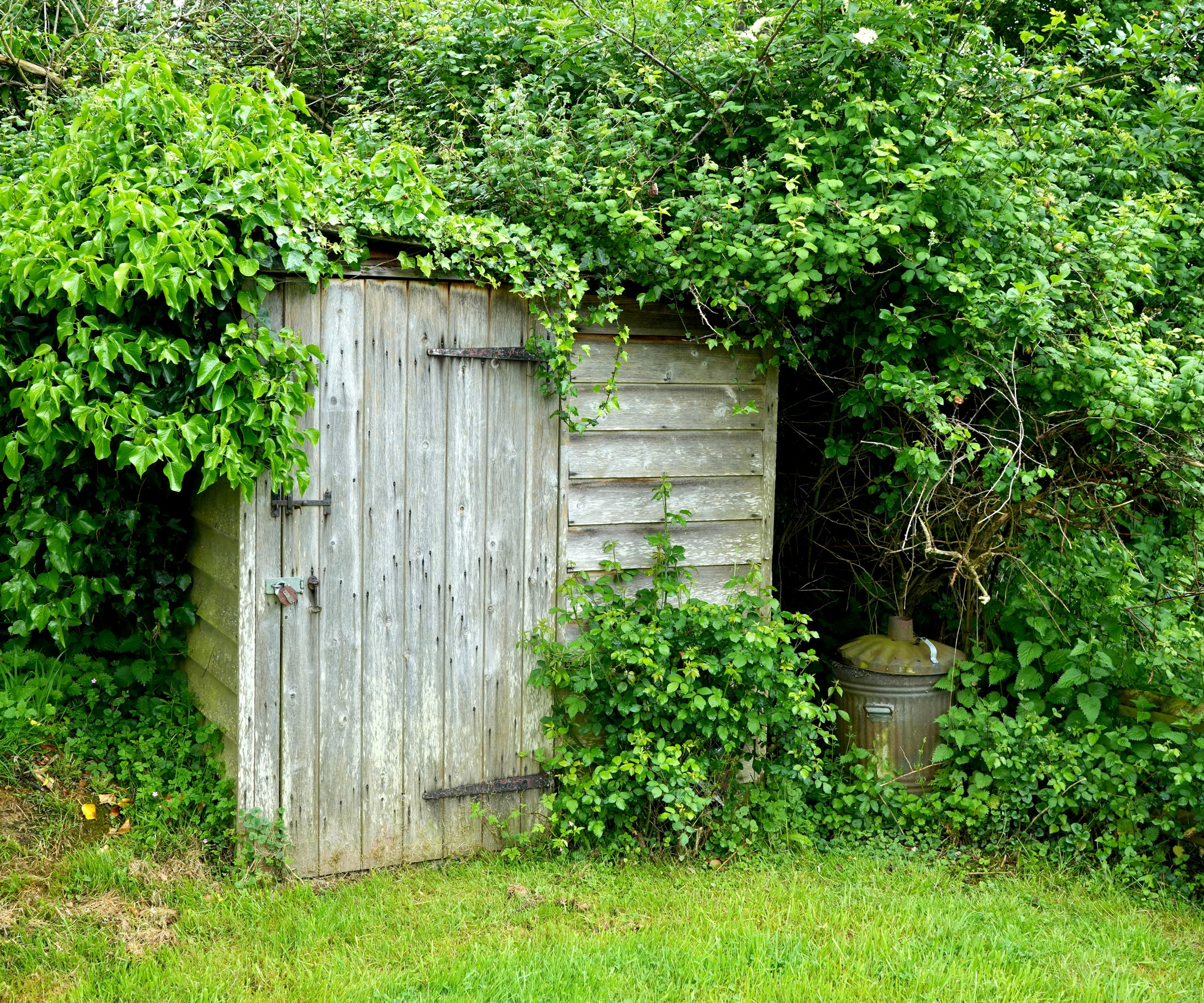 wooden shed in garden with no windows