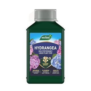 Green bottle of Westland hydrangea feed with grey lid and bright label