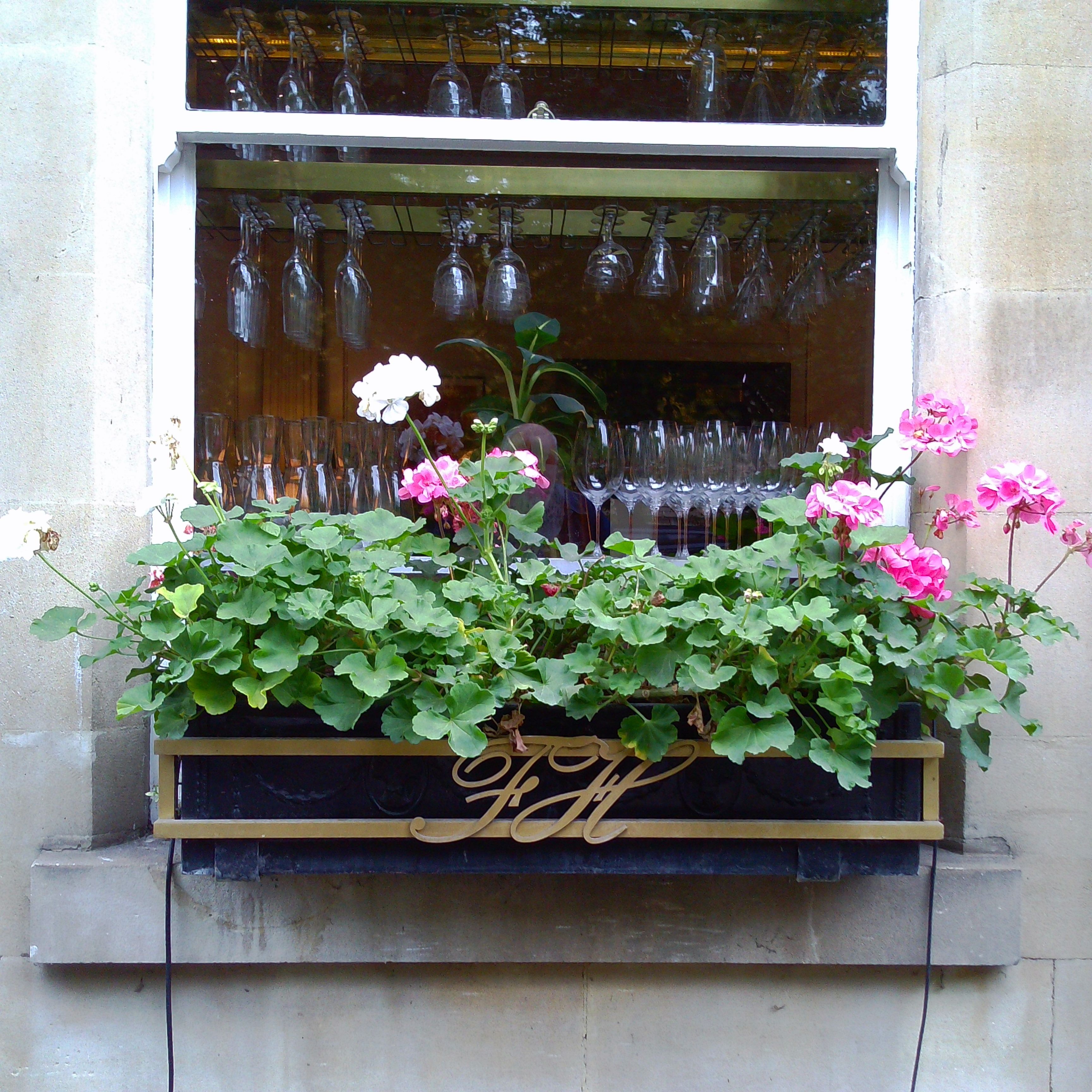 Chuzhao sample images