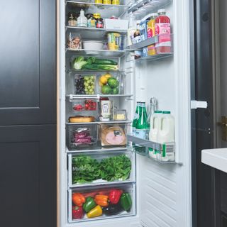 Double fridge-freezer with one door open, revealing a fully-stocked fridge with food