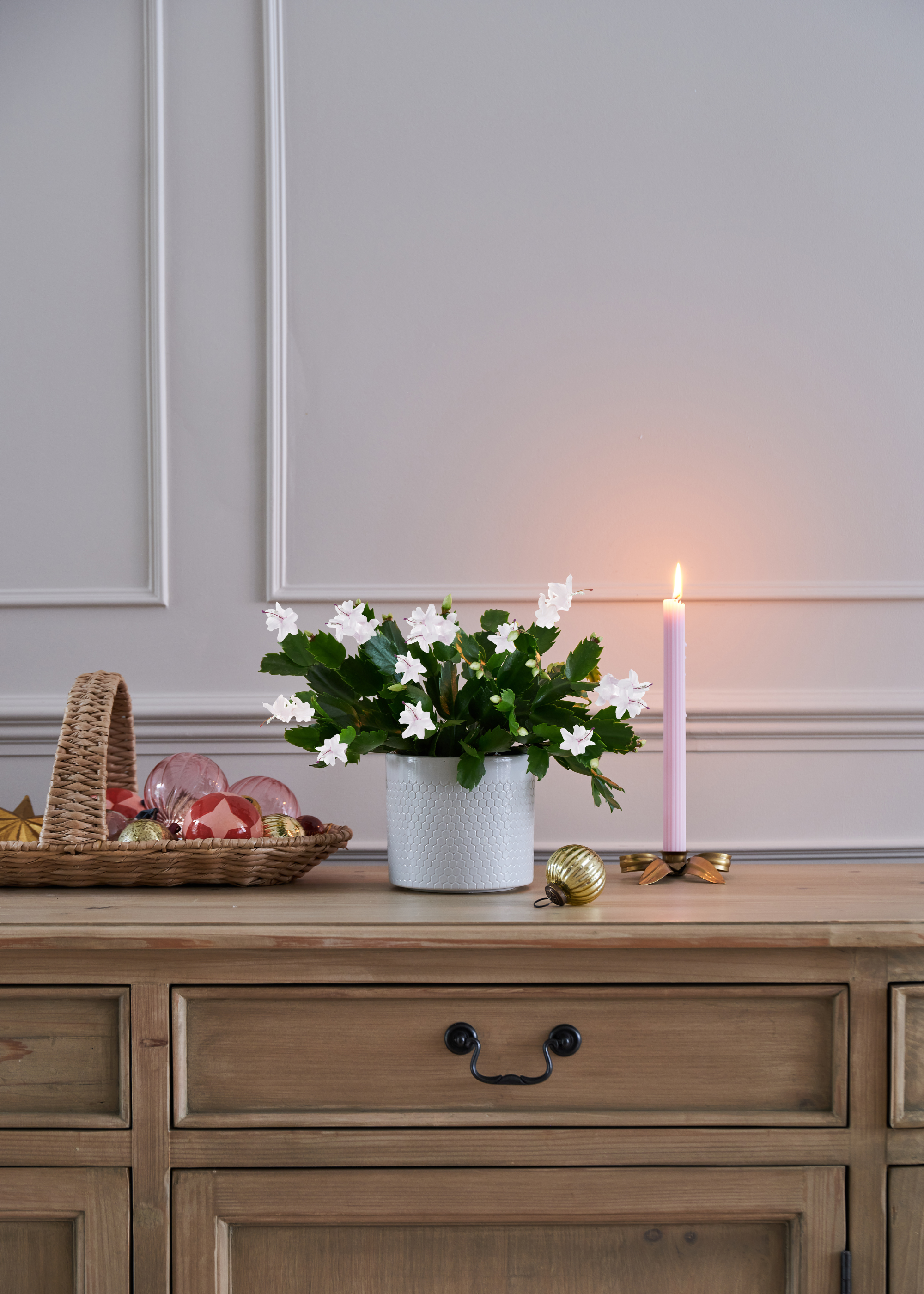 A white Christmas cactus on a wooden sideboard with a tray of ornaments and a lit candle