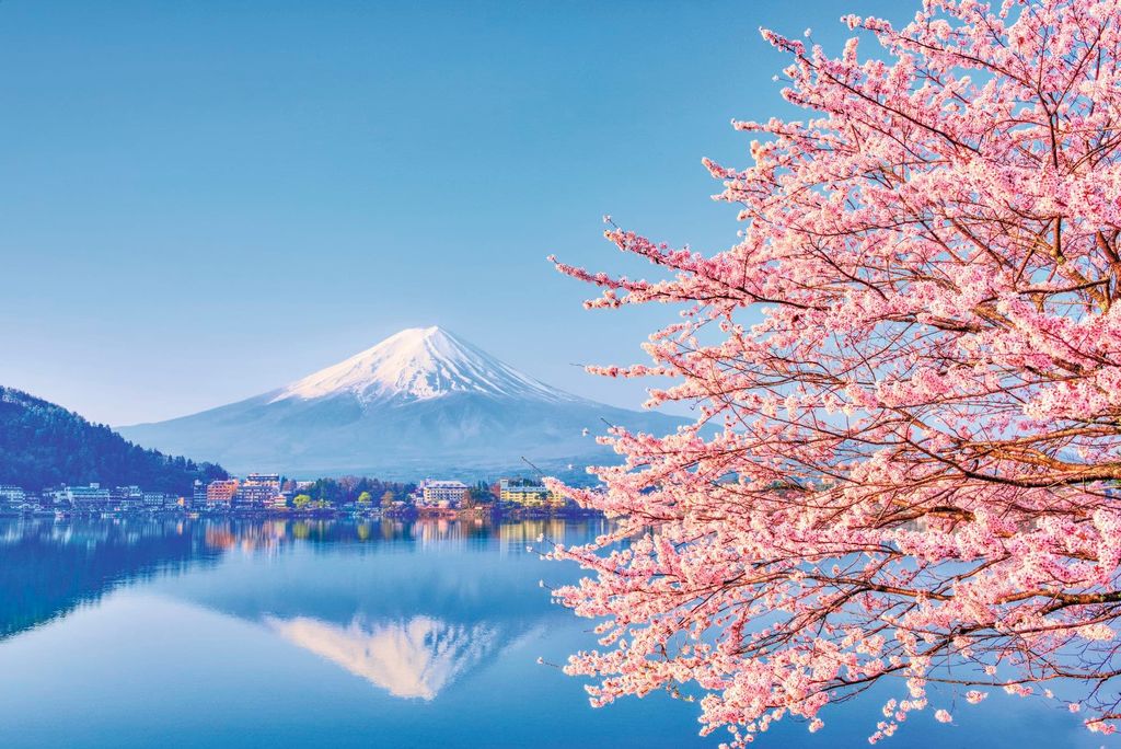 The big trip 2020: why now is the best time to visit Japan | Woman & Home