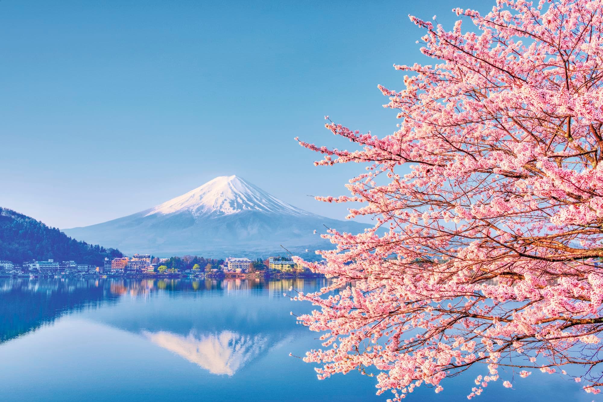 The big trip 2020: why now is the best time to visit Japan