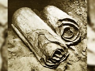 These Dead Sea Scrolls were discovered during a 1947 excavation of Qumran caves northwest of the Dead Sea.