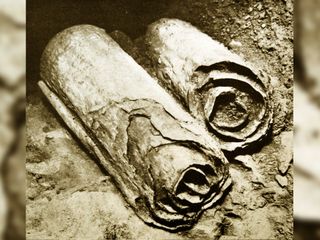 The dead sea scrolls qumran and the essenes