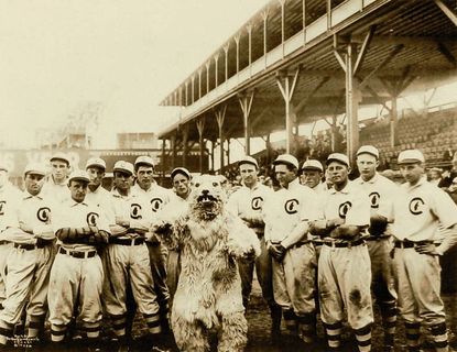 The Cubs, 1908.