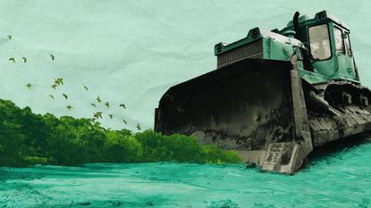 Photo collage of Nicobar Island rainforest being destroyed by a comically huge bulldozer