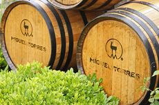 Eduardo Jord&aacute;n