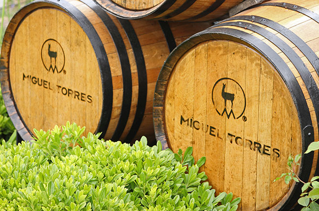 Eduardo Jord&aacute;n