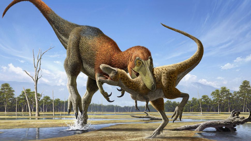 Nanotyrannus vs. T. rex saga continues: Controversial study 'doesn't ...