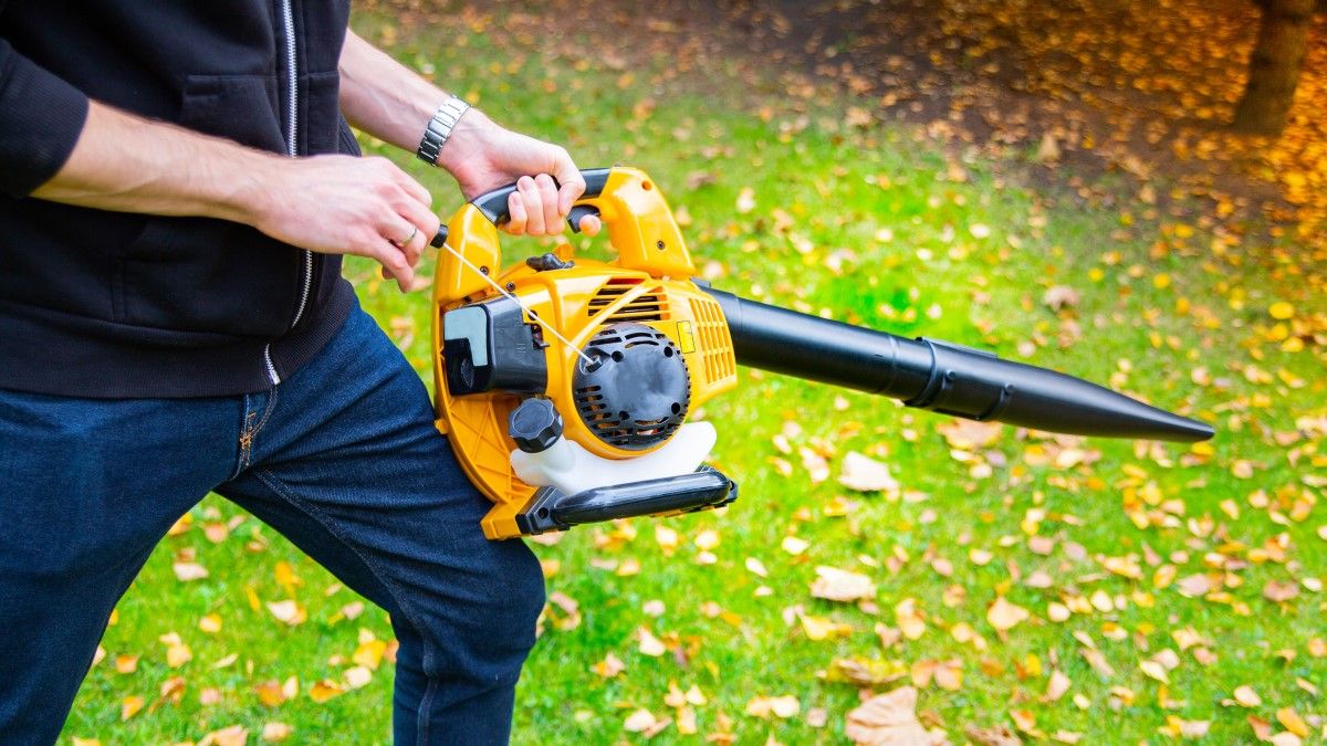 best cordless leaf blower vacuum