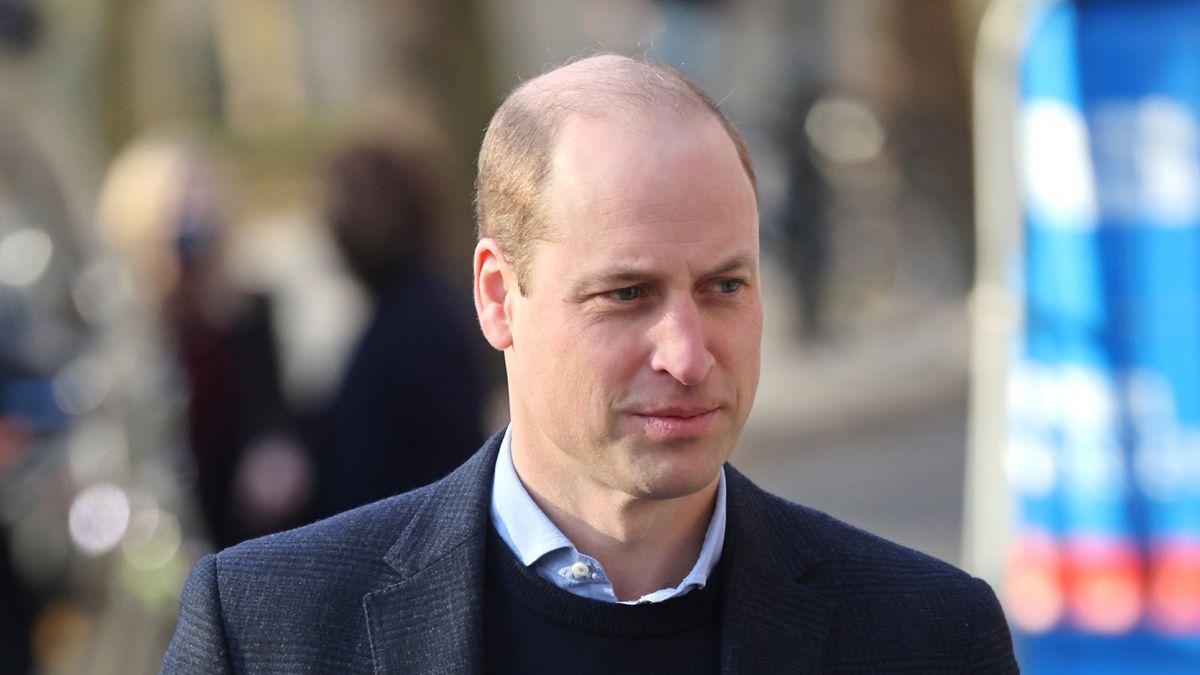 Royal artist 'savaged' for painting Prince William with 'too much hair'