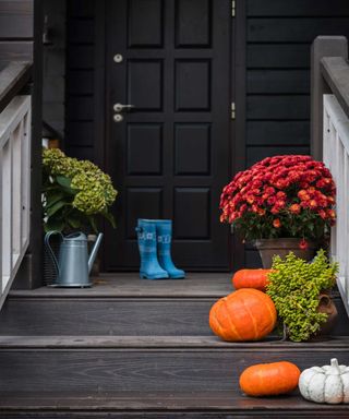 black front door with orange pumpkins and potted flowers