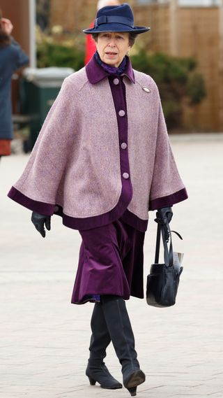 Princess Anne attends day 2, Ladies Day, of the Cheltenham Festival on March 16, 2016