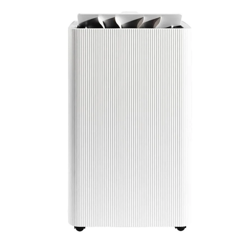 12L Carbon Filter Dehumidifier & Air Cleaner