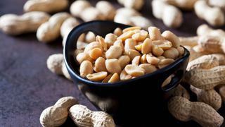 Close-up image of a navy-colored bowl containing salted peanuts with some unopened peanuts in their shells surrounding the bowl 