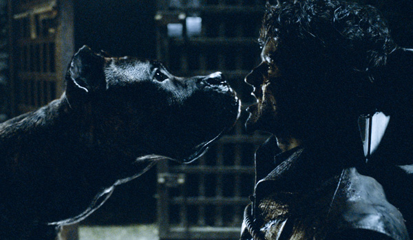ramsay eaten dogs