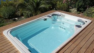 Best swim spas: A Hydropool is set into teak-colored decking in a green garden